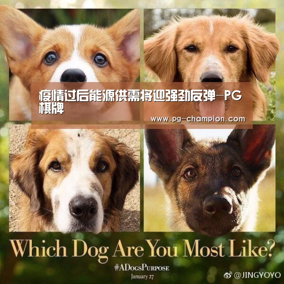 疫情过后能源供需将迎强劲反弹-PG棋牌(图1) PG电子