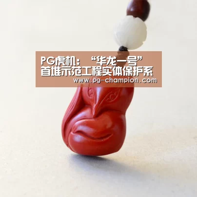 PG虎机