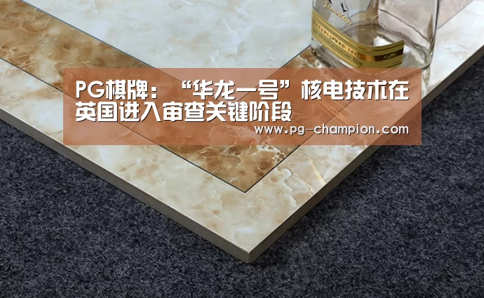 PG棋牌:“华龙一号”核电技术在英国进入审查关键阶段(图2) PG电子